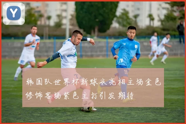 韩国队世界杯新球衣亮相主场金色修饰客场紫色主打引发期待